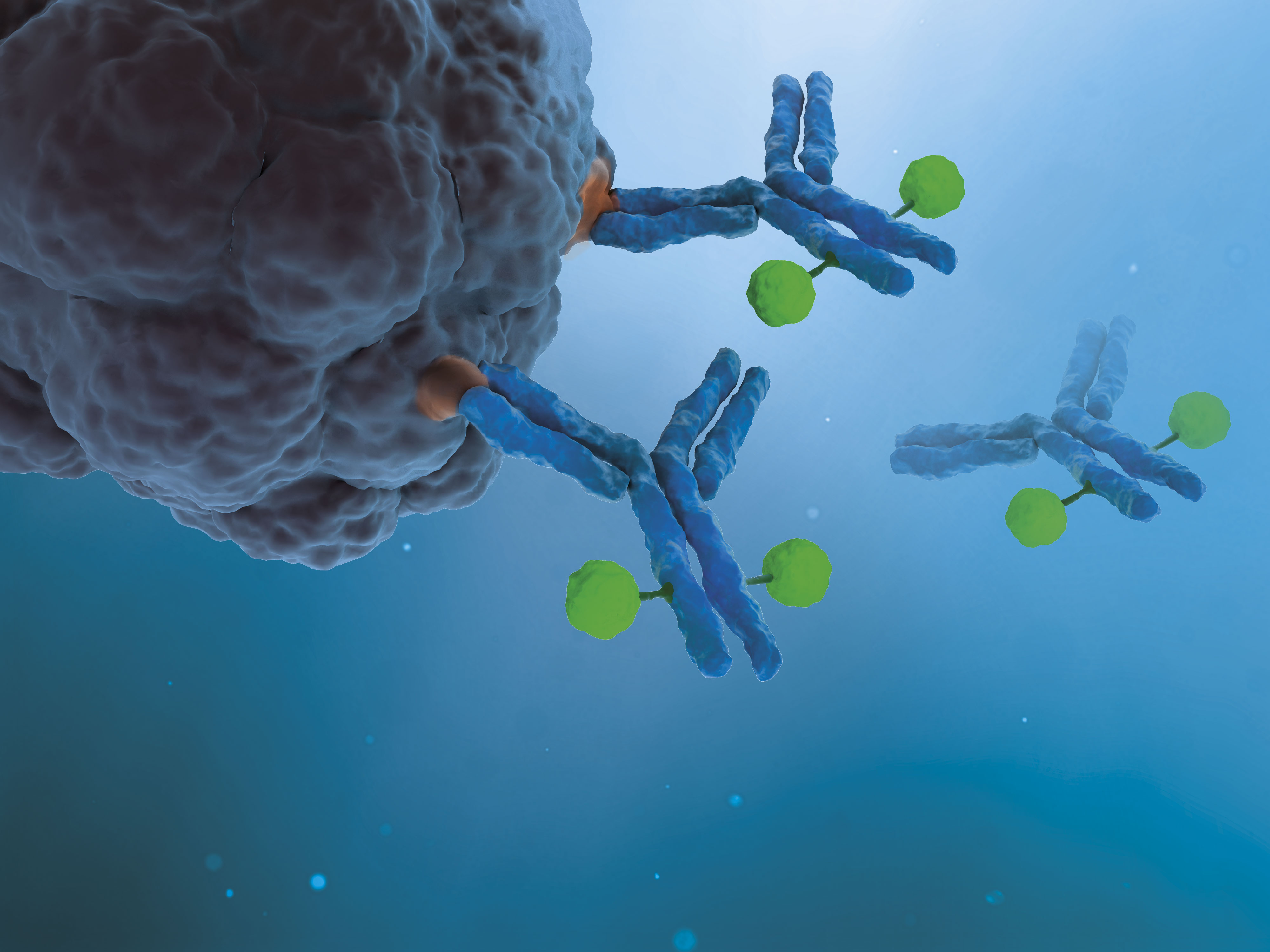 SOTIO doses first patient in CDH17-targeting ADC trial for CRC